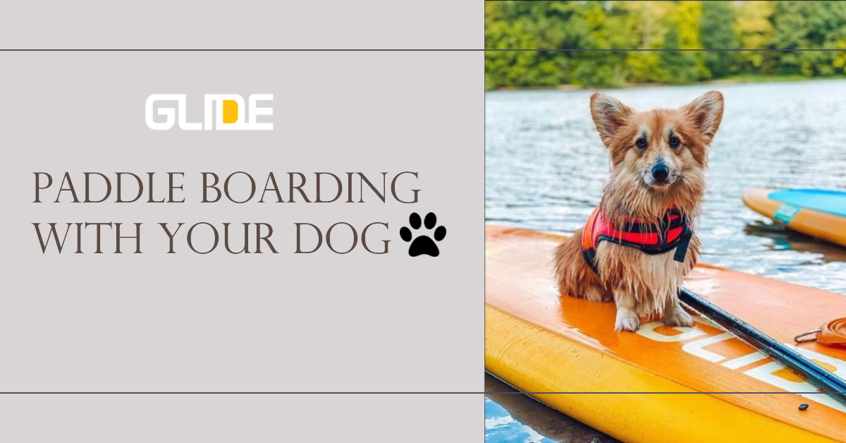 How To Paddle Board With Your Dog: The Complete SUP Guide