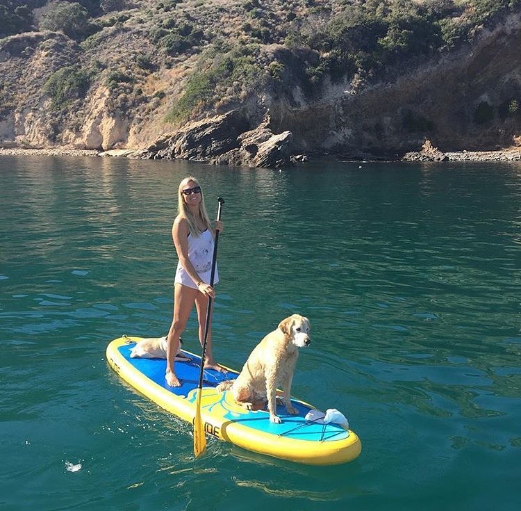 No dog-paddling needed: Kayak tours of Keys include pooches