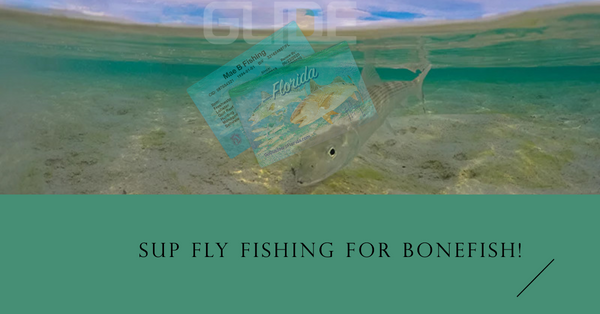 Sup fly fishing tips for bonefish.